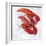 Two Cooked Lobsters on Ice-Jürgen Holz-Framed Photographic Print