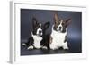 Two Corgi Cardigan-vivienstock-Framed Photographic Print