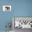 Two Corgi Puppies-null-Photographic Print displayed on a wall