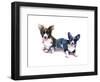 Two Corgis, 2015-John Keeling-Framed Giclee Print