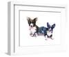 Two Corgis, 2015-John Keeling-Framed Giclee Print