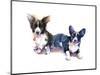 Two Corgis, 2015-John Keeling-Mounted Giclee Print