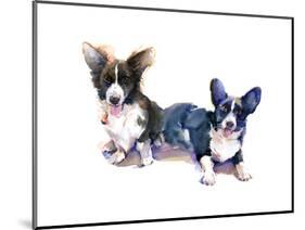 Two Corgis, 2015-John Keeling-Mounted Giclee Print