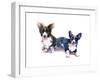 Two Corgis, 2015-John Keeling-Framed Giclee Print