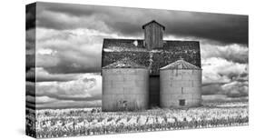 Two Corn Cribs-Trent Foltz-Stretched Canvas