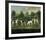 Two Couples of Hounds in a Park-Francis Sartorius-Framed Premium Giclee Print