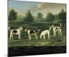Two Couples of Hounds in a Park-Francis Sartorius-Mounted Premium Giclee Print