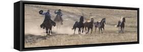 Two Cowboys Herding Horses, Flitner Ranch, Shell, Wyoming, USA-Carol Walker-Framed Stretched Canvas