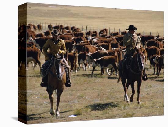 Two Cowboys on Horseback, Cattle Ranching, New Mexico, United States of America, North America-Woolfitt Adam-Stretched Canvas