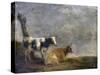 Two Cows, after Paulus Potter, 1652-Paulus Potter-Stretched Canvas