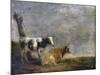 Two Cows, after Paulus Potter, 1652-Paulus Potter-Mounted Art Print