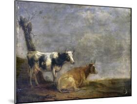 Two Cows, after Paulus Potter, 1652-Paulus Potter-Mounted Art Print