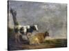 Two Cows, after Paulus Potter, 1652-Paulus Potter-Stretched Canvas