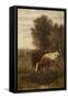 Two Cows in a Landscape-William Frederick Hulk-Framed Stretched Canvas