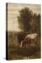 Two Cows in a Landscape-William Frederick Hulk-Stretched Canvas