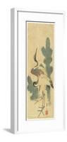 Two Cranes and Pine Branches, Early 19th Century-Katsushika II Taito-Framed Giclee Print