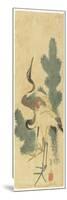 Two Cranes and Pine Branches, Early 19th Century-Katsushika II Taito-Mounted Giclee Print