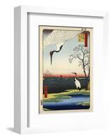 Two Cranes from Meisho Yedo Hiakkei (One Hundred Famous Views of Edo)-Ando Hiroshige-Framed Giclee Print