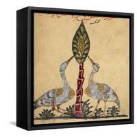 Two Cranes-Aristotle ibn Bakhtishu-Framed Stretched Canvas