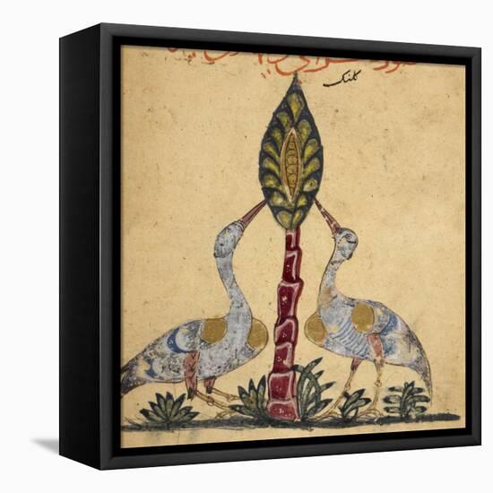 Two Cranes-Aristotle ibn Bakhtishu-Framed Stretched Canvas