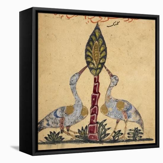 Two Cranes-Aristotle ibn Bakhtishu-Framed Stretched Canvas