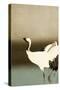 Two Cranes-Koson Ohara-Stretched Canvas