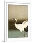 Two Cranes-Koson Ohara-Framed Giclee Print