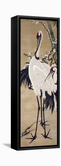 Two Cranes-Jakuchu Ito-Framed Stretched Canvas