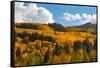 Two Creeks area of Aspen ski resort in autumn.-Mallorie Ostrowitz-Framed Stretched Canvas