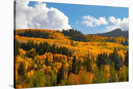 Two Creeks area of Aspen ski resort in autumn.-Mallorie Ostrowitz-Stretched Canvas