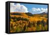 Two Creeks area of Aspen ski resort in autumn.-Mallorie Ostrowitz-Framed Stretched Canvas