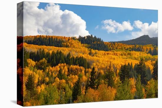 Two Creeks area of Aspen ski resort in autumn.-Mallorie Ostrowitz-Stretched Canvas