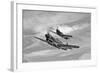 Two Curtiss P-40 Warhawks in Flight Near Nampa, Idaho-null-Framed Photographic Print