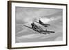 Two Curtiss P-40 Warhawks in Flight Near Nampa, Idaho-null-Framed Photographic Print