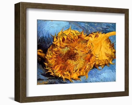 Two Cut Sunflowers, c.1887-Vincent van Gogh-Framed Giclee Print