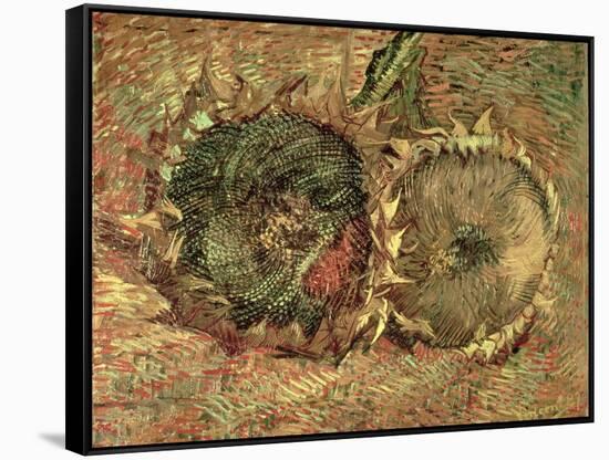 Two Cut Sunflowers, c.1887-Vincent van Gogh-Framed Stretched Canvas