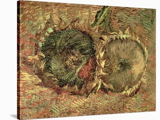Two Cut Sunflowers, c.1887-Vincent van Gogh-Stretched Canvas