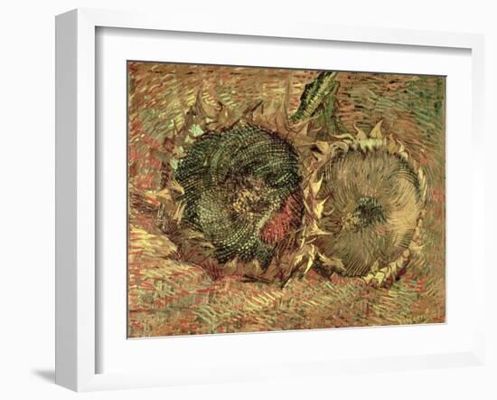 Two Cut Sunflowers, c.1887-Vincent van Gogh-Framed Giclee Print