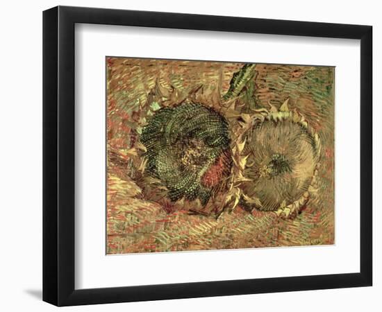 Two Cut Sunflowers, c.1887-Vincent van Gogh-Framed Premium Giclee Print