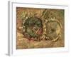 Two Cut Sunflowers, c.1887-Vincent van Gogh-Framed Giclee Print