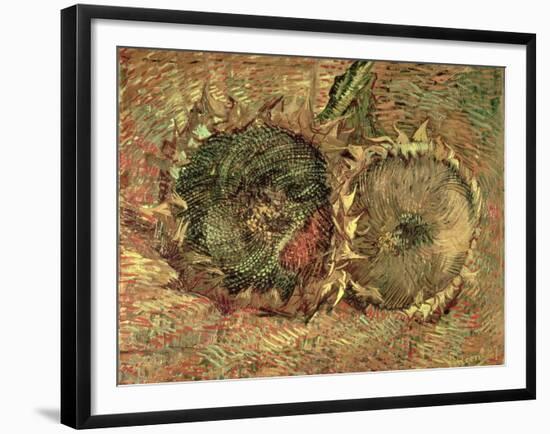 Two Cut Sunflowers, c.1887-Vincent van Gogh-Framed Giclee Print