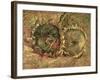 Two Cut Sunflowers, c.1887-Vincent van Gogh-Framed Giclee Print