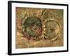 Two Cut Sunflowers, c.1887-Vincent van Gogh-Framed Giclee Print