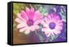 Two Cute Purple Flowers-melking-Framed Stretched Canvas