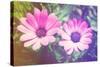 Two Cute Purple Flowers-melking-Stretched Canvas