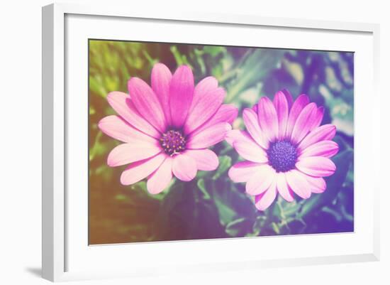 Two Cute Purple Flowers-melking-Framed Photographic Print