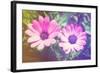 Two Cute Purple Flowers-melking-Framed Photographic Print