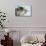 Two Cute Tabby Kittens Asleep in a Hammock-Mark Taylor-Stretched Canvas displayed on a wall