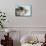 Two Cute Tabby Kittens Asleep in a Hammock-Mark Taylor-Mounted Photographic Print displayed on a wall