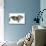 Two Cute Tabby Kittens, Stanley and Fosset, 7 Weeks, Sleeping in a Hammock-Mark Taylor-Stretched Canvas displayed on a wall